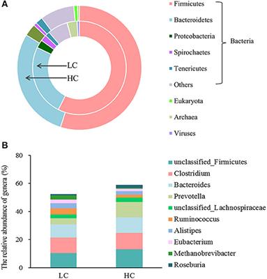 The Remodeling Effects of High-Concentrate Diets on Microbial Composition and Function in the Hindgut of Dairy Cows